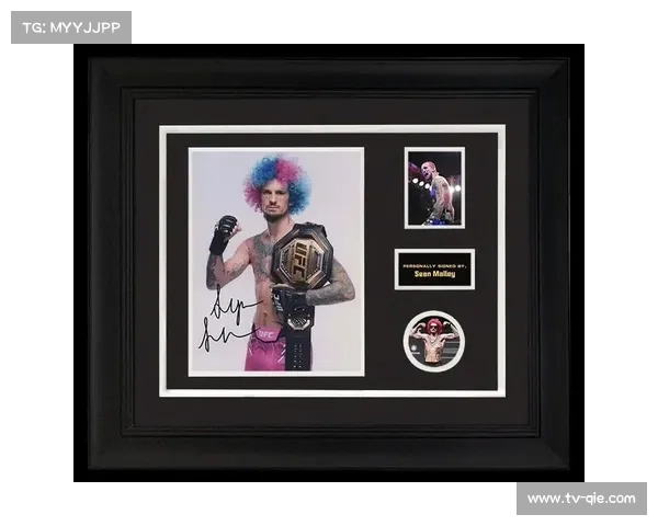 肖恩·奥马利表示若遭遇三连败或将考虑退役，未来不确定性存在。