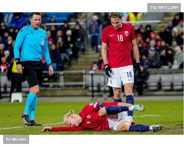 “数据回顾：盘点四月国际比赛日后，FIFA病毒对英超各队的影响”
